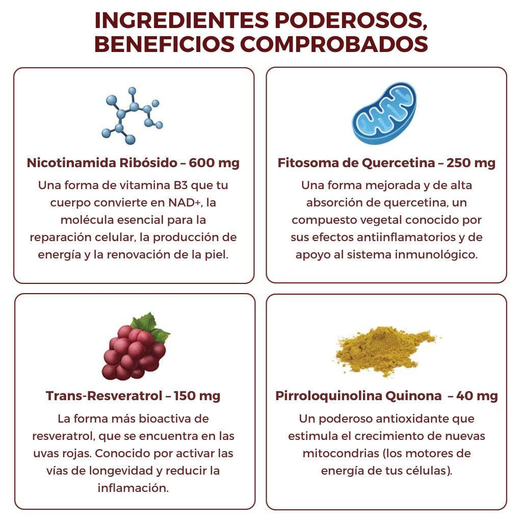 ZOOONE NAD+ Líquido